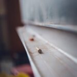 教室での暴走をどう止める?北海道小学校教師の苦悩と懲戒処分の真相