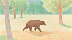 北海道でクマ出没が過去最多ペース!観光地や市街地にも続々…その異常事態に迫る!