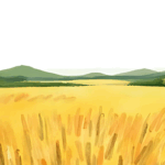 5kg2000円は安すぎる?「令和の米騒動」が暴き出した日本の農業の深すぎる闇と、消費者の本音