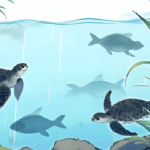 iZoo水槽におにぎり吐き出し事件!園長が激怒した迷惑行為にネット民から「厳罰を!」の声